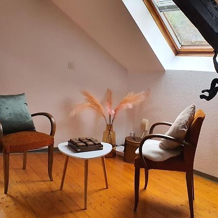 Appartement Loft Gaia à Brunstatt-Didenheim Extérieur photo