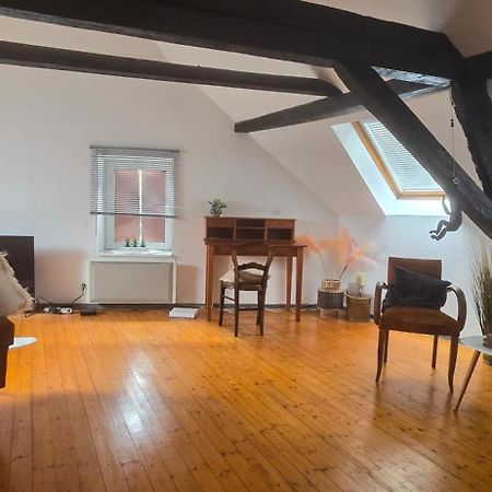 Appartement Loft Gaia à Brunstatt-Didenheim Extérieur photo