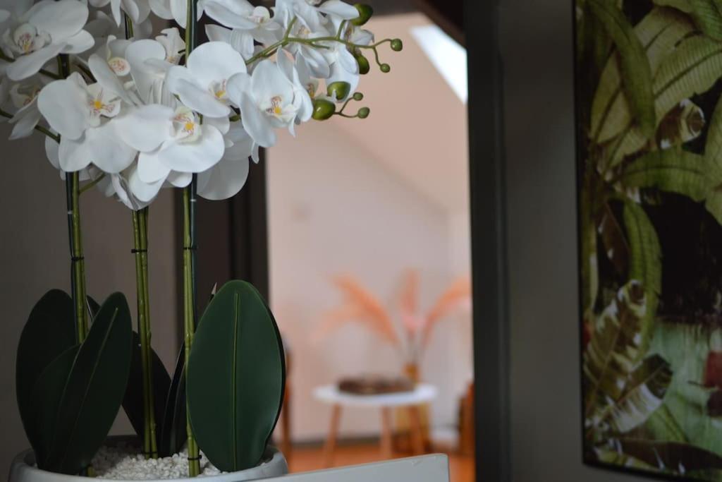 Appartement Loft Gaia à Brunstatt-Didenheim Extérieur photo